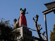 Ђނ5525̓א_Ђ̓eʐ^8