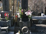 Ђނ5525̑Ɏ̓̕eʐ^2