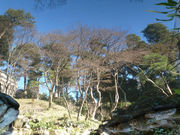 Ђނ5525̓saJ˒뉀̓eʐ^16