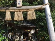 hitommy115����̍r���_�Ђ̓��e�ʐ^1