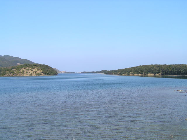 񂴂񂳂̃i}Rr̓eʐ^1