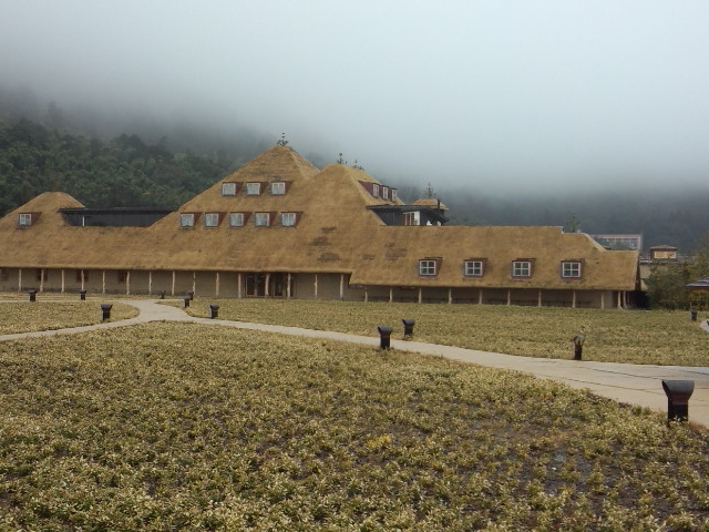 �\���猩��S�e_���R���[�i �ߍ]����