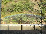 䂩̋{_ƃGlM[ق̓eʐ^1