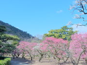 ݂ۂ񂳂̌Iь̔~̓eʐ^2