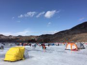 hitommy115̐ؗق̓eʐ^1