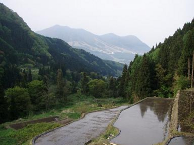 �t�߂̒I�c_�n�ȉ���u�]���̓��v