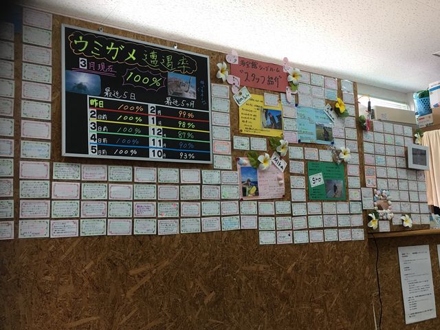 �V�[�u���[������̎�t���p�V�����B_�C��كV�[�u���[��