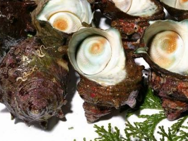 �T�U�G�ł�_�ɐ��u���݂₰�Z���^�[�����@�ɐ��X