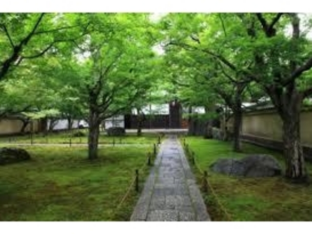 �����������ȉ��~�@�B�G�ߌ���ł����A�s�����l����ł��I_�哿��