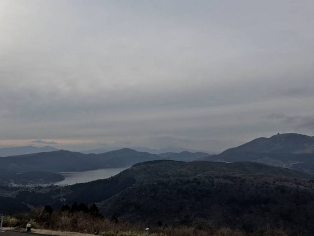 ����ł͕x�m�R��������ƌ����Ă܂����B_�A�l�X�g��c�@�^�[���p�C�N����