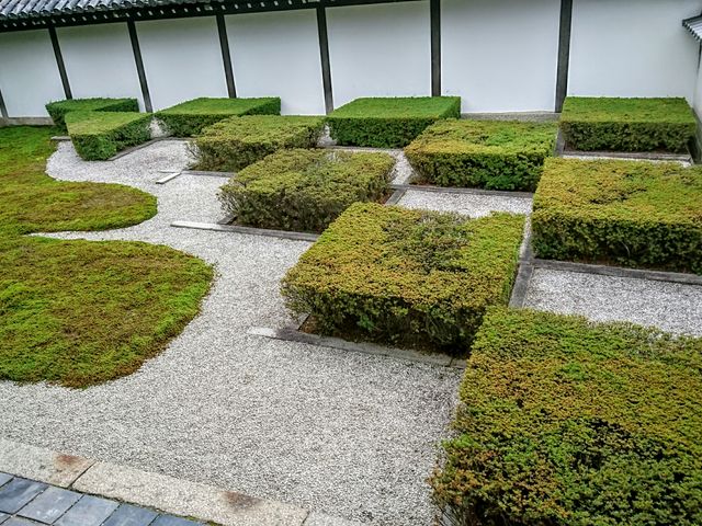 ���̂̑�s���뉀_������