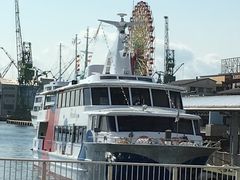 ̂̐_˃xCN[Yւ̓eʐ^1