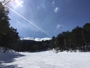 ȂבY̊Jc}CAXL[̓eʐ^4