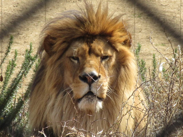 ̊Ƃ΃CIB
Ԃ̌AĂ܂BƗ[ɖi܂B_悱͂ܓY[VA