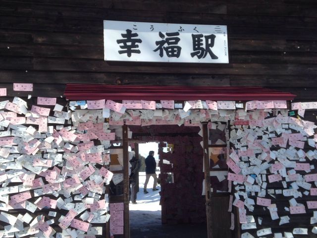 �ؕ�����������t�����Ă��܂�_�����w�E�K���w