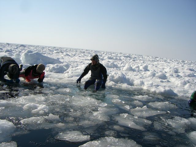 ���ꂮ����A�P�Ƃł͊댯�I_���X