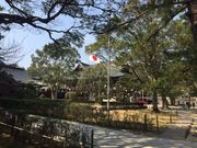 sunfisḧꔨgxT[rX̓eʐ^1