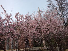 _񂳂̍cqũnc~UNւ̓eʐ^1