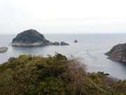 �C���J���񂳂�̔��Γ��̓��e�ʐ^1