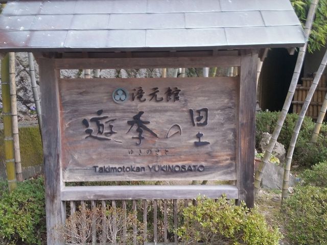 �X�܊O��_�V�G�̗�