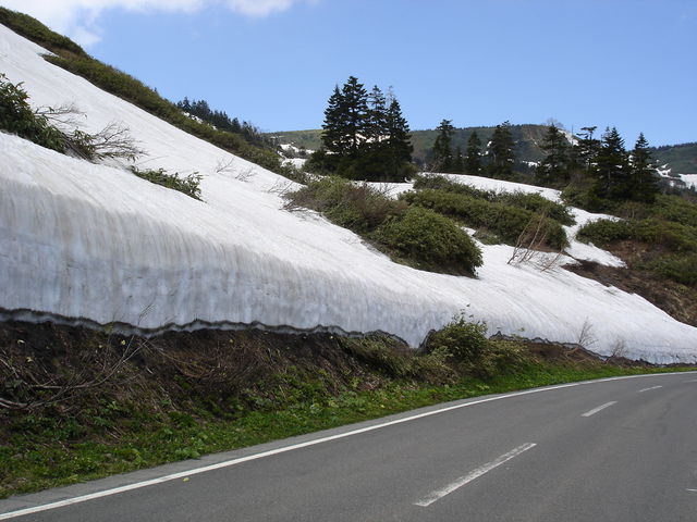 �U���Ȃ̂ɂ���ȂɎc�Ⴊ�B_������