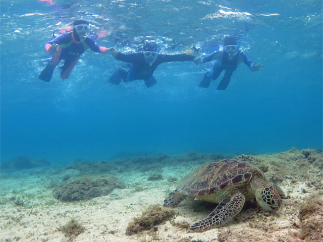 ����`�I_�A�}�~�G���V�X