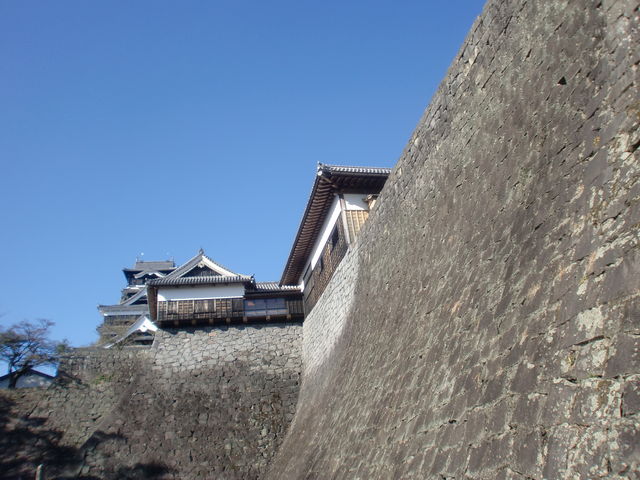 {ڐAw̉ɖK܂B܂A̔NɑnkNƂ́EEE_F{