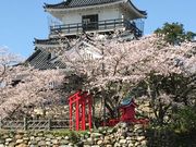 �V�g������̕l����̓��e�ʐ^1