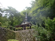 �l�l�O������̉������̓��e�ʐ^1