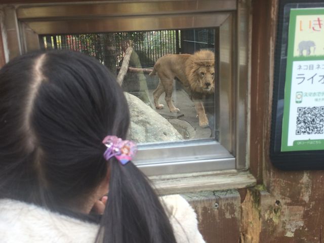 ���C�I��_���ρ[��������