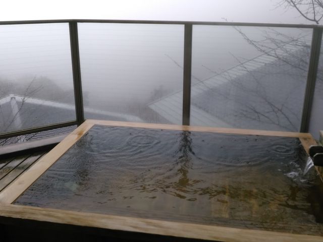 JŊቺ̊XȂ݌Ȃ_VG̗