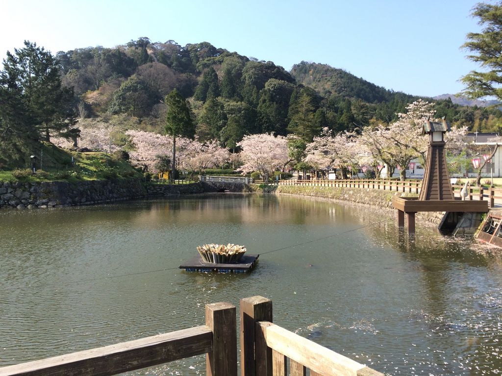 鹿野城跡の桜 アクセス 営業時間 料金情報 じゃらんnet