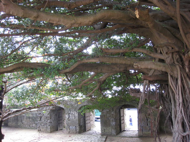 TATK����̋��������Ζ�̓��e�ʐ^2