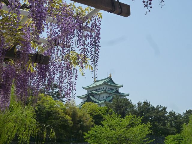 ���������A���Ɩ��É���_�������