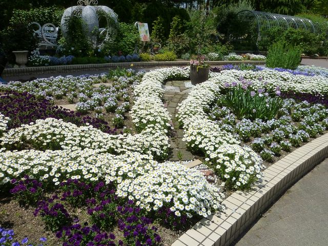 �͗l��`���悤�ɐA����ꂽ�ԁX_�������