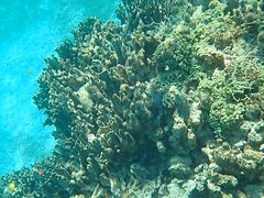 K`̃_CrOT[rXɊCւ̓eʐ^1