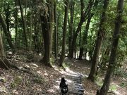 KAZỦhRRώ@̐X̓eʐ^1