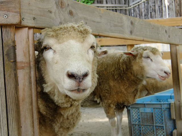 �~�R������_�~�R������