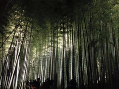 ڂс[̒|т̓ւ̓eʐ^1