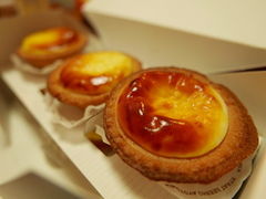 킩ԁ[̗mَq̂Ƃ@Ζ{Xւ̓eʐ^1