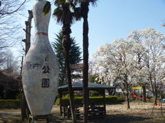 本庄市 城下公園の口コミ一覧 じゃらんnet