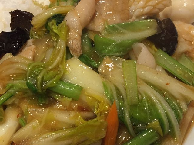 �݂��񂳂�̍��`���̓��e�ʐ^1