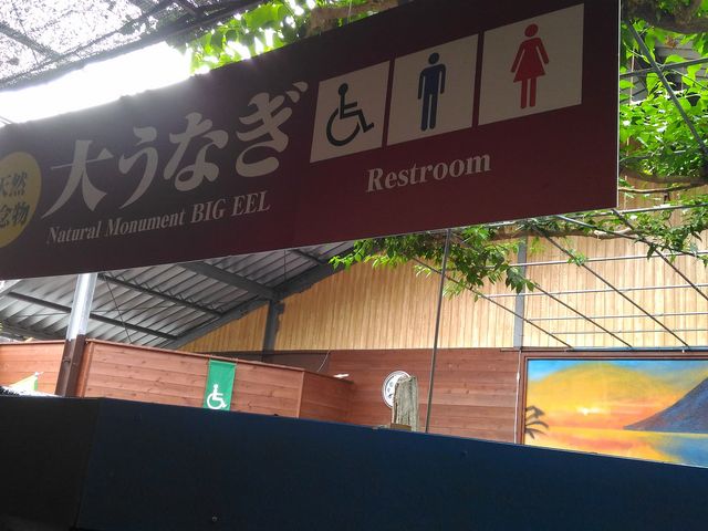 �E�i�M�̓W��_�r�c�΃p���_�C�X