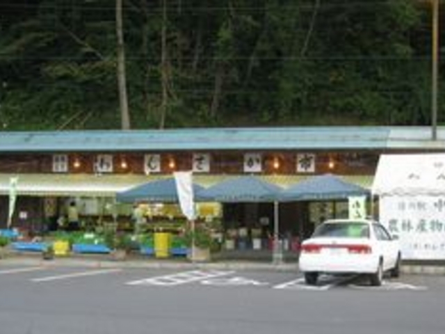 taro̓̉w  񂳂s̓eʐ^1