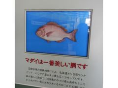 hiroさんの鯛の浦遊覧船展示館の投稿写真1