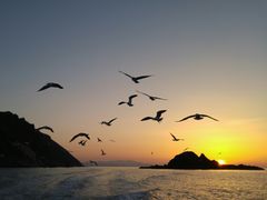 ̂񂽂񂳂̏M̓AN[Yւ̓eʐ^1