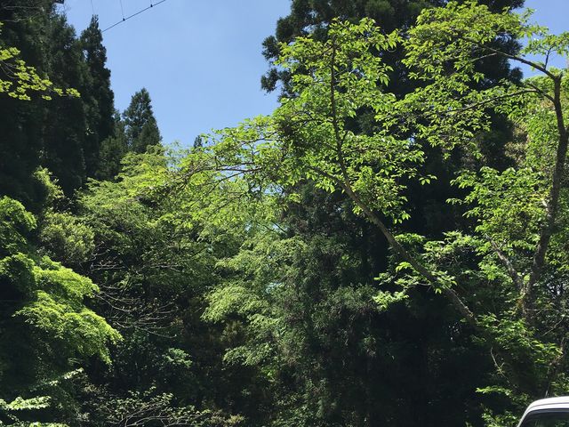 �鋫�E�[�̗��k������