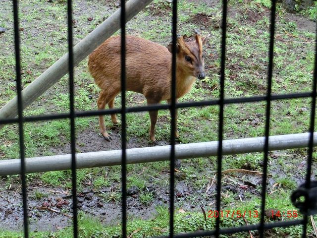 ����A�������̃~�j���u�L�����v
���J���\����Ƃ������Ȃ�
�i�@�O�ցO�j�E�E�E_�s������A������