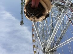 WHόAWHT[rXGAόē̎ʐ^1