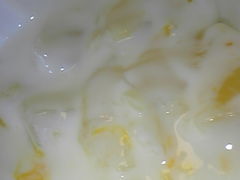 ���傭������̃��[�O���g���X�@���[�j���O�؍��{�X�ւ̓��e�ʐ^1